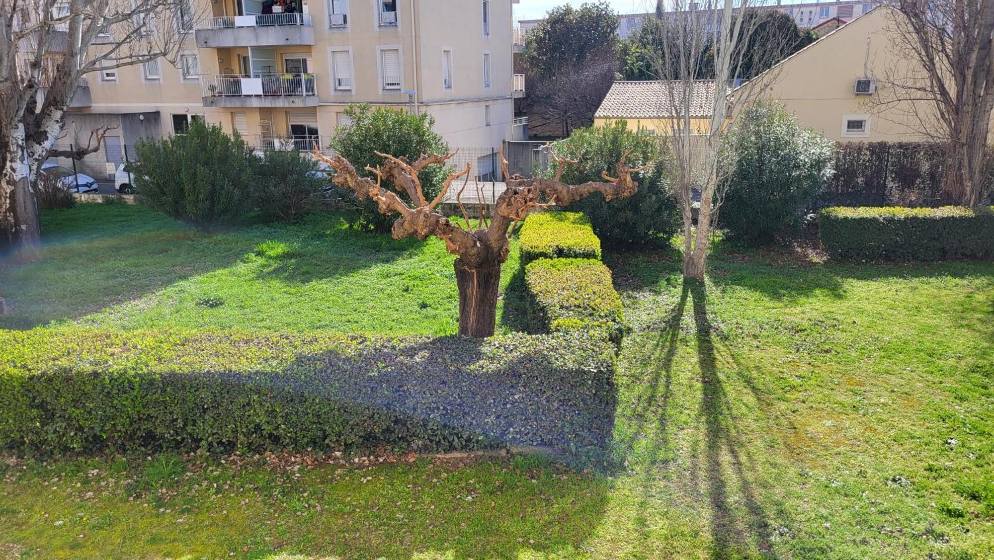 Les Tourterelles D'Avignon 2 Apartment Bagian luar foto